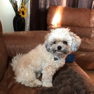 Meet your Posher, Sherry